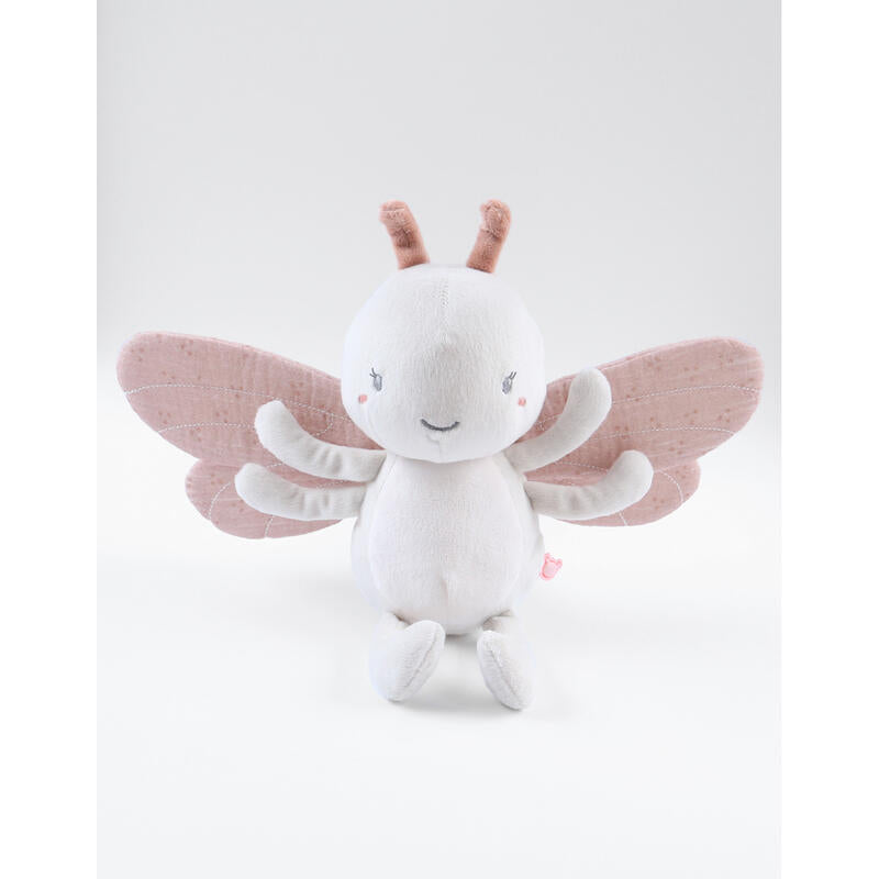 Nookies Pop Small 25 - Louli