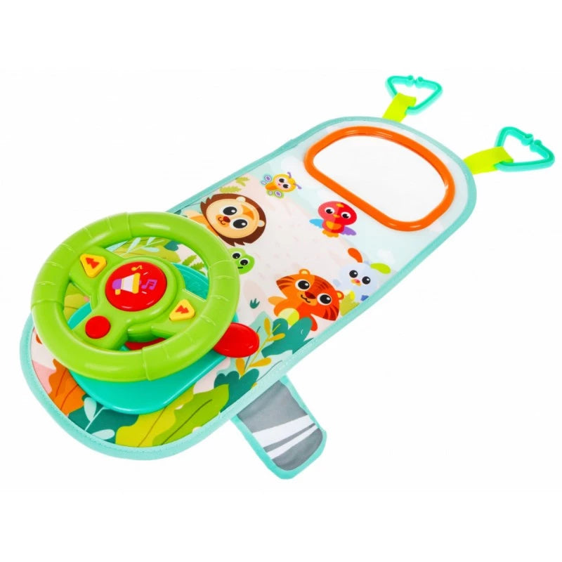 hola car steering wheel