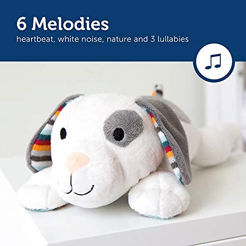 zazu musical soft toy dex