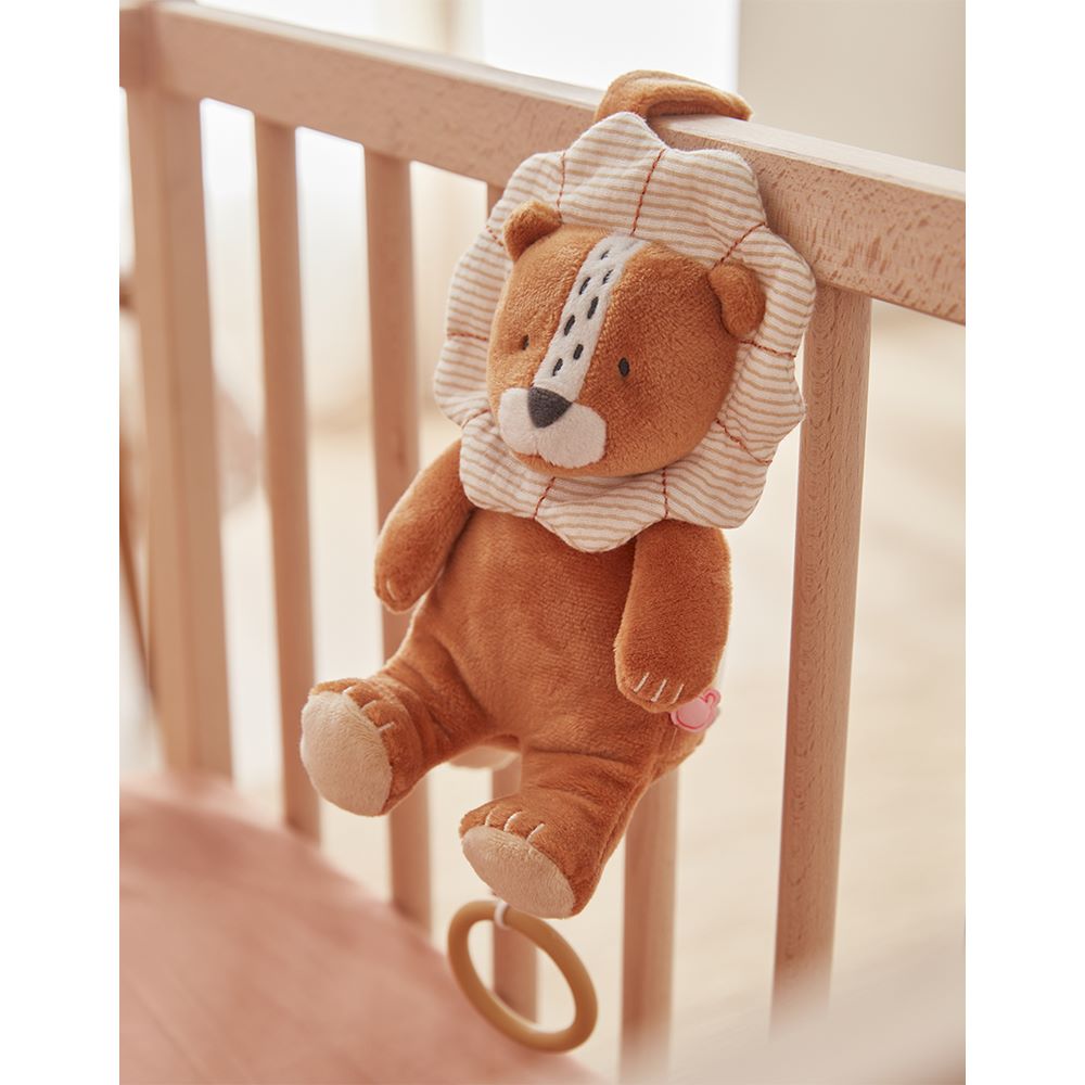 Nookies B&K Musical Soft Toy 20Cm - Bou