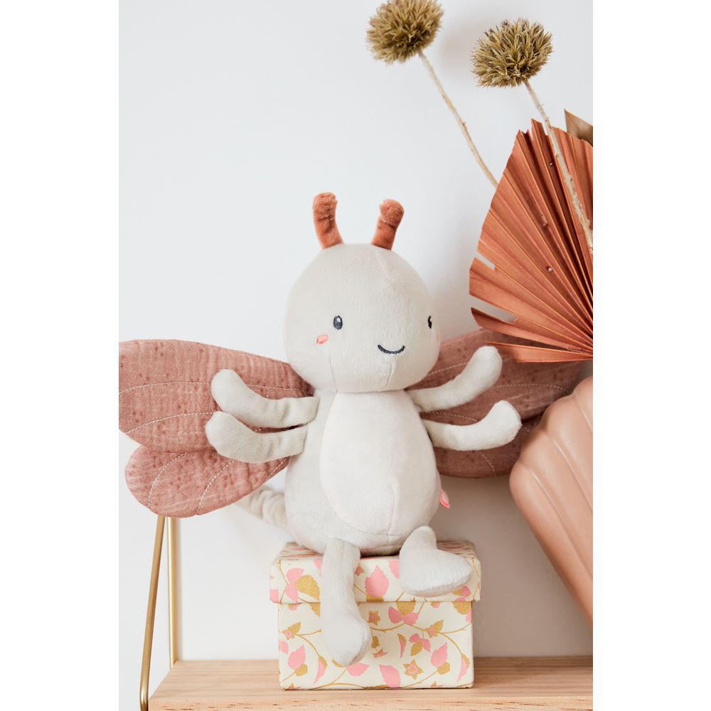 Nookies Pop Small 25 - Louli