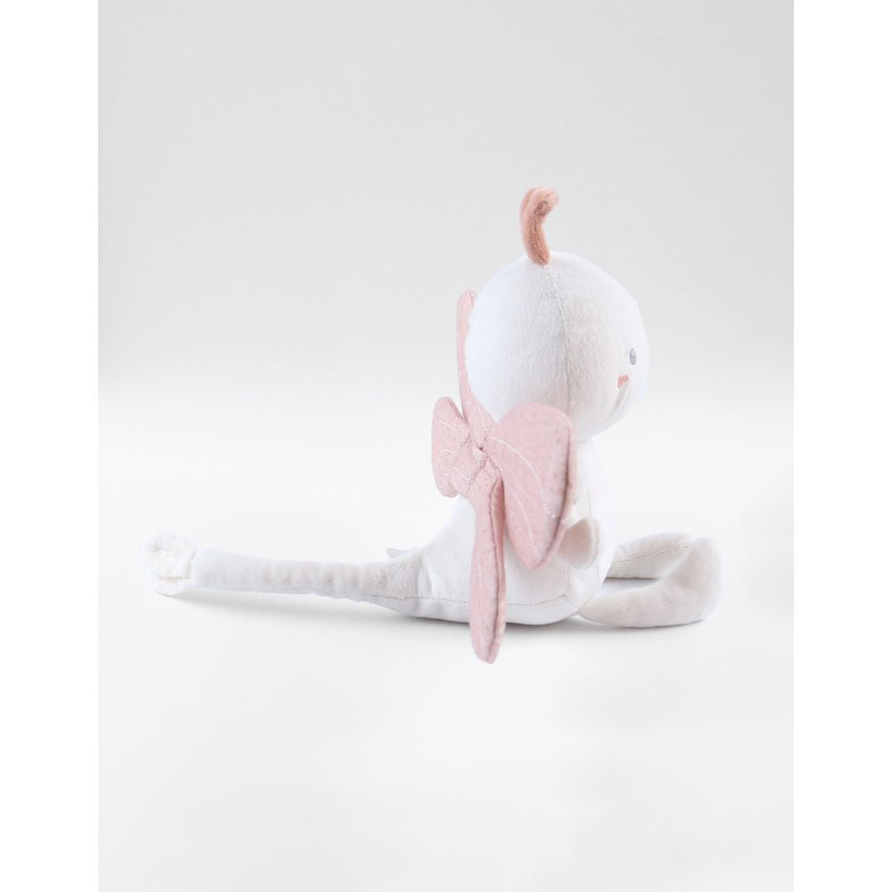 Nookies Pop Small 25 - Louli