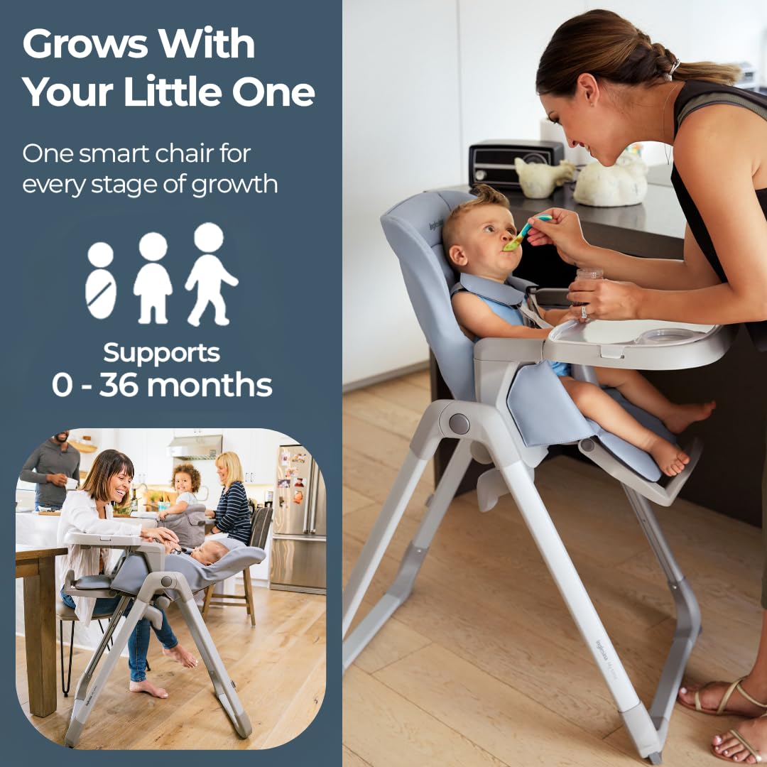 inglesina my time high chair sugar