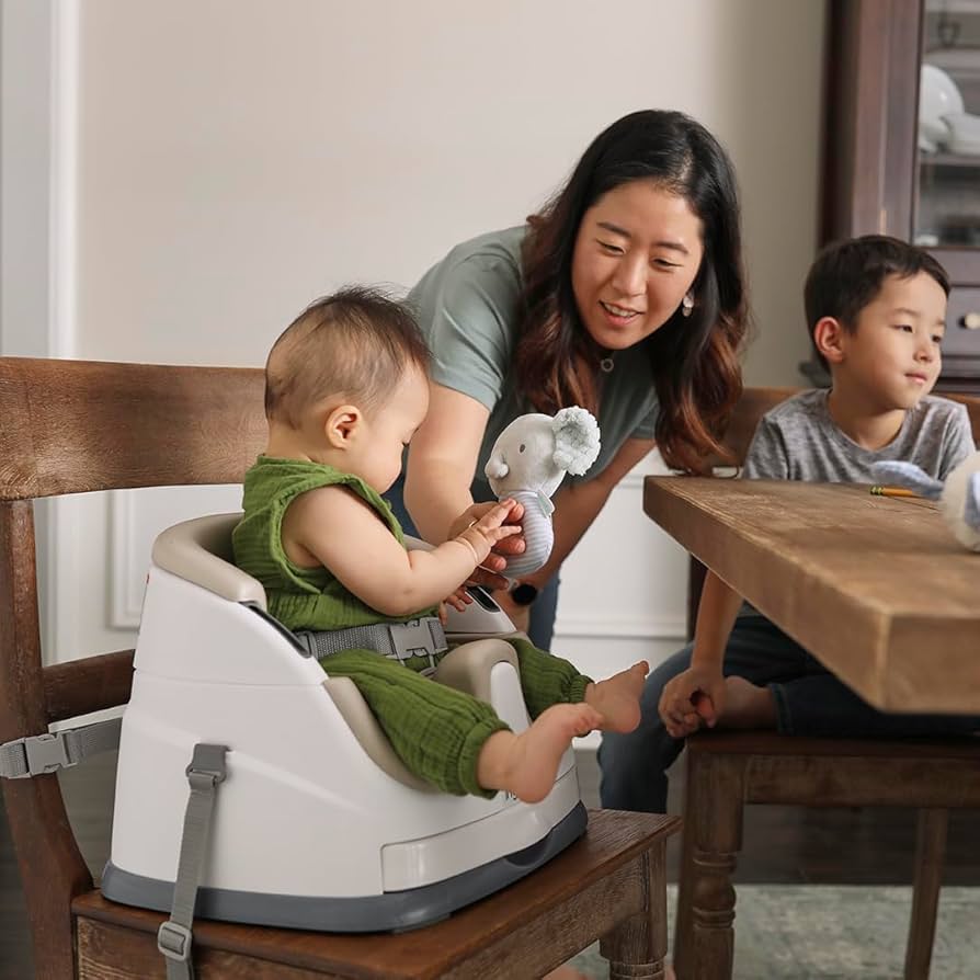 ingenuity booster and feeding seat cashmere