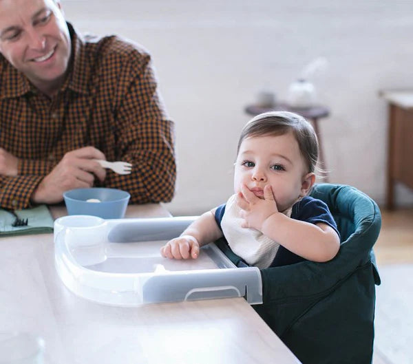 inglesina fast dining tray plus