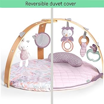 ingenuity cozy spot activity gym: calla