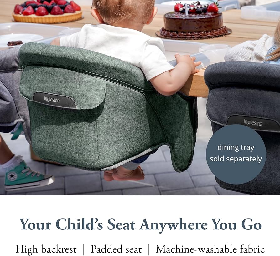 inglesina fast table chair pine green