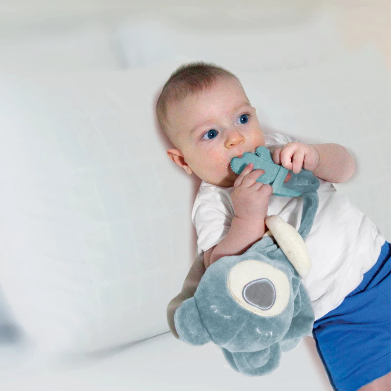 babyjem sweet bear with teether