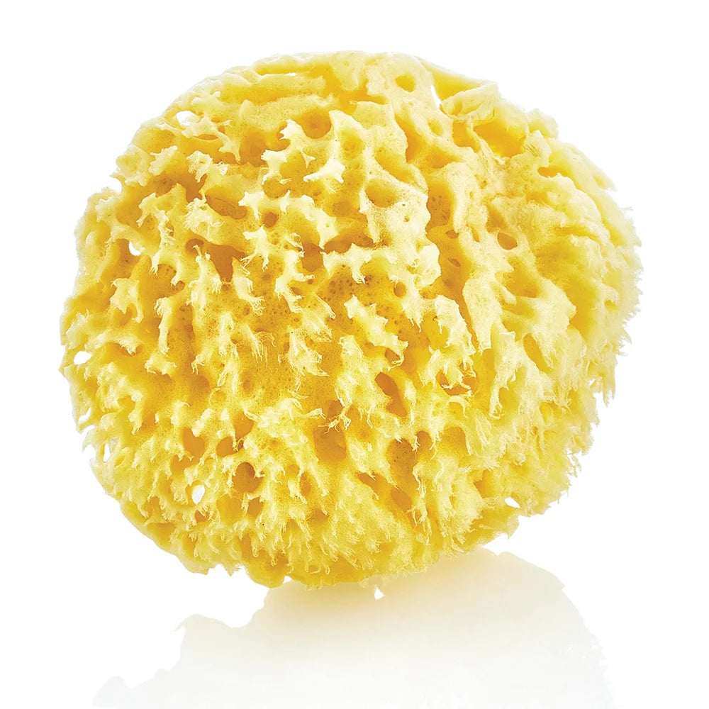 babyjem natural sea sponge baby bath sponge