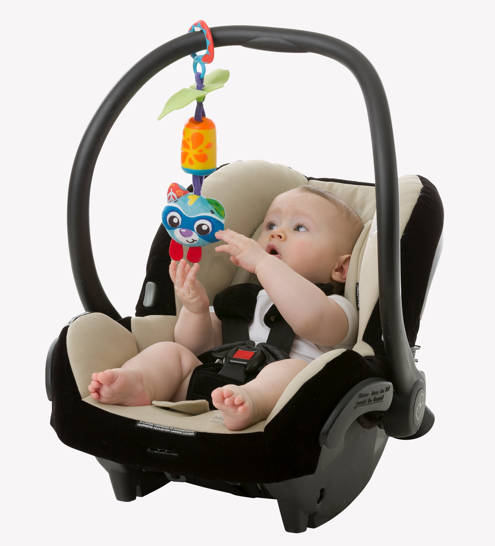 playgro cheeky chime rocky raccon