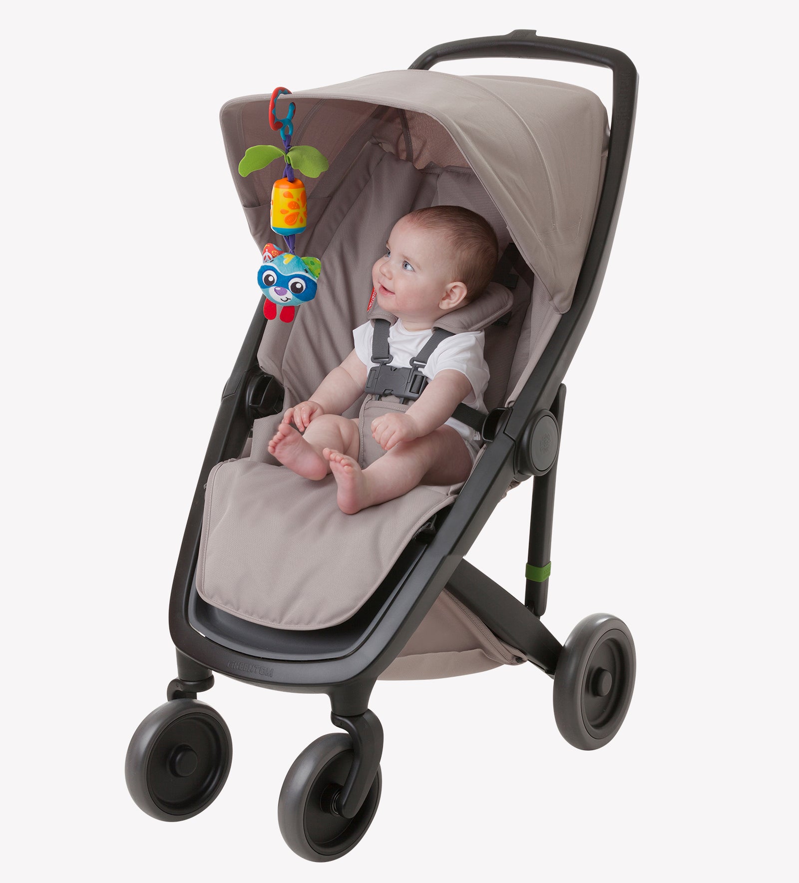 playgro cheeky chime rocky raccon