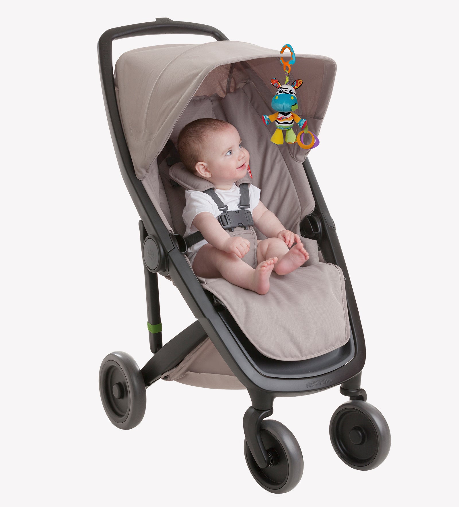 playgro zoe zebra munchimal