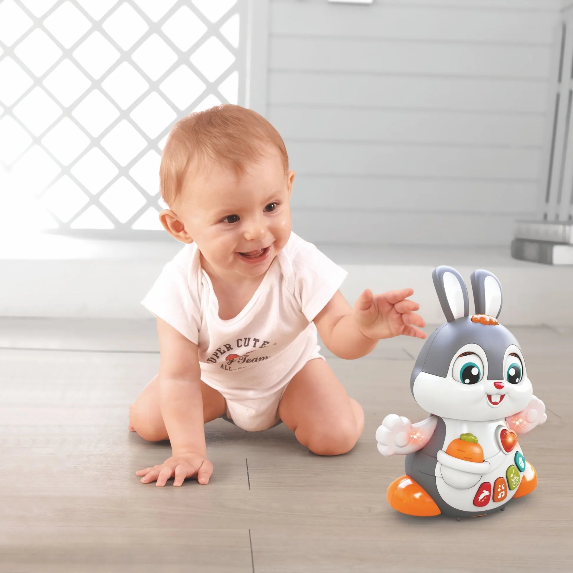 hola dancing bunny