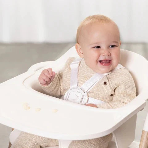 evenflo rightseat multistage high chair sea salt white