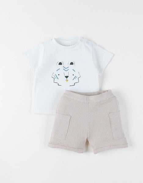 Nookies Set T-Shirt And Shorts - Tiger (6M)
