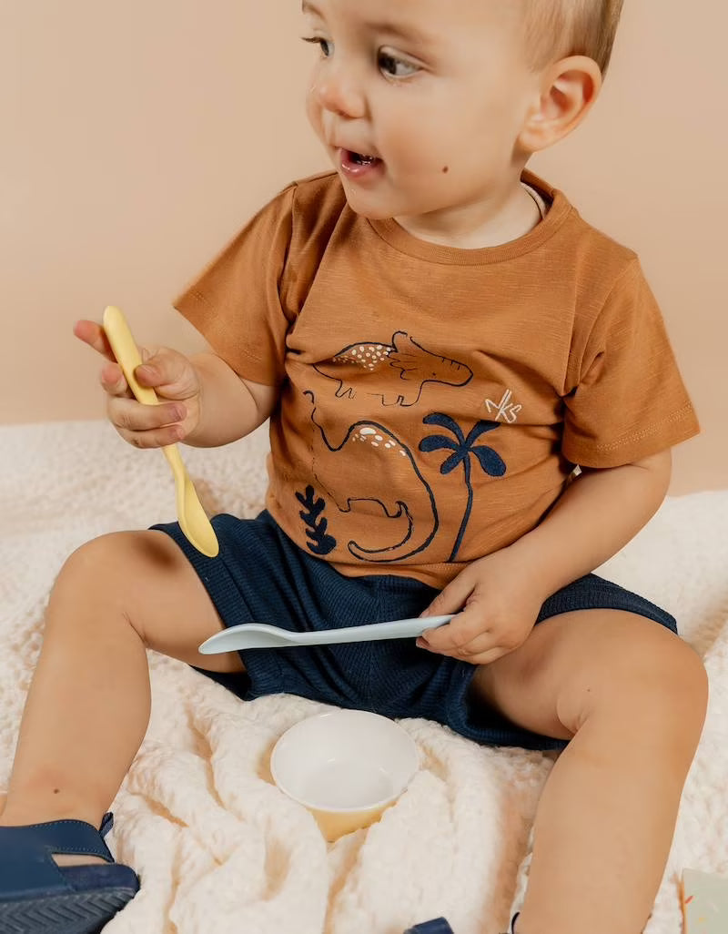 Nookies Set T-Shirt Brown With Shorts - Funny Dinos (9M)