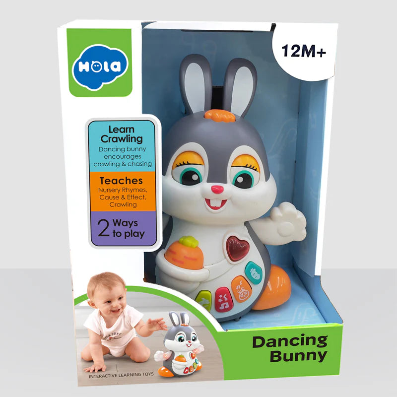 hola dancing bunny