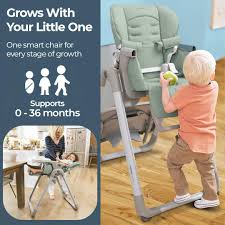 inglesina my time high chair mint