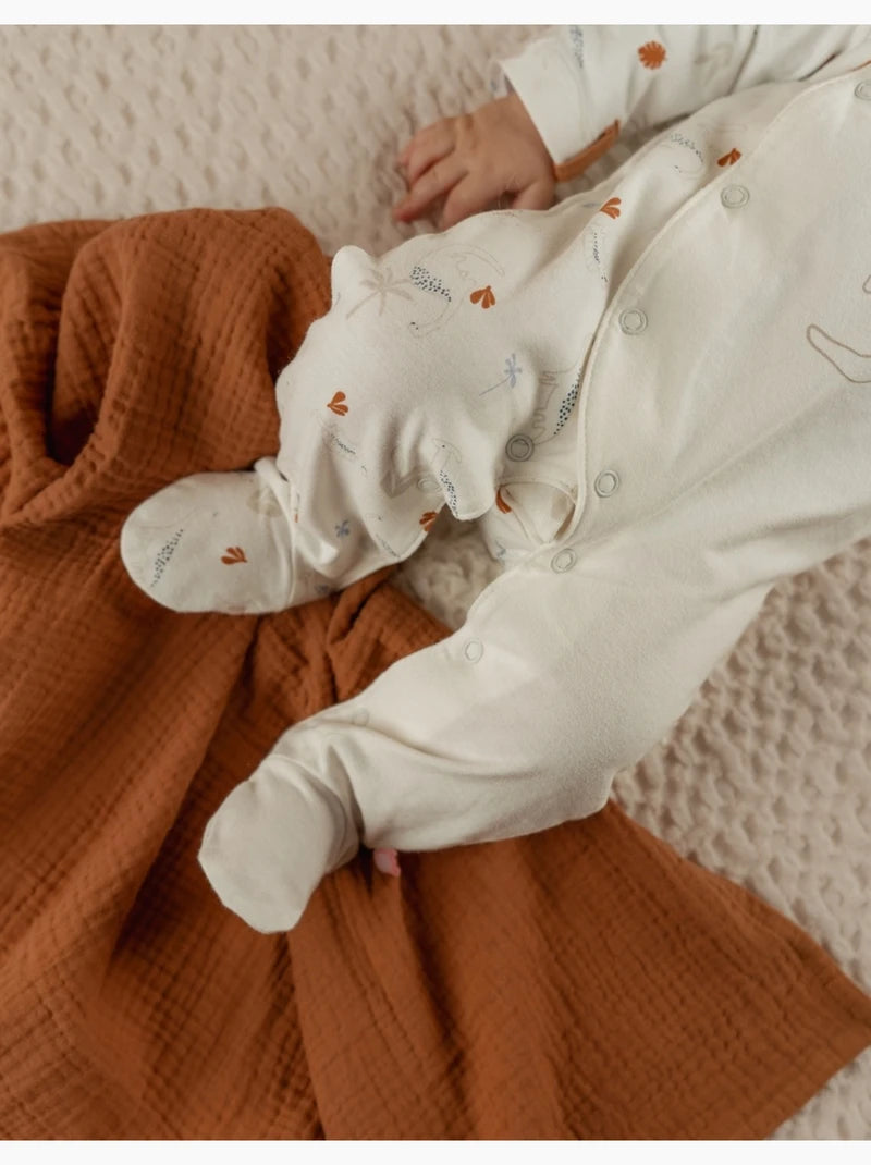 Nookies By Pyjamas- Jersey Aop - Funny Dino (0M)