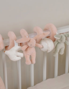 Nookies R&V Activity Spiral - Rosie